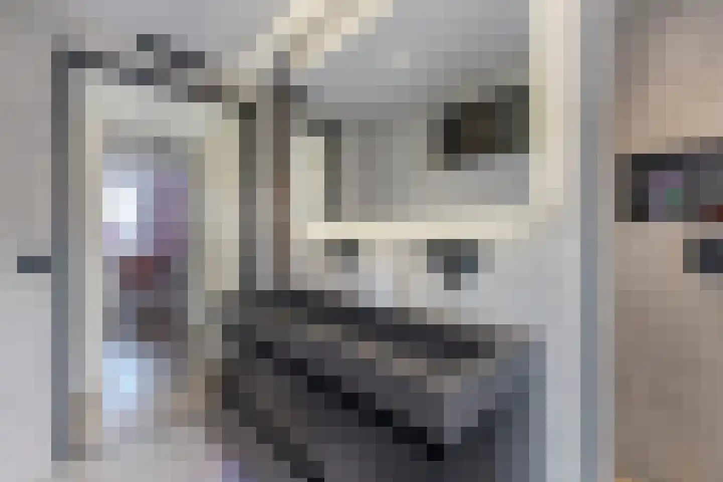 Zonzijde 6 Assendelft thumbnail 27