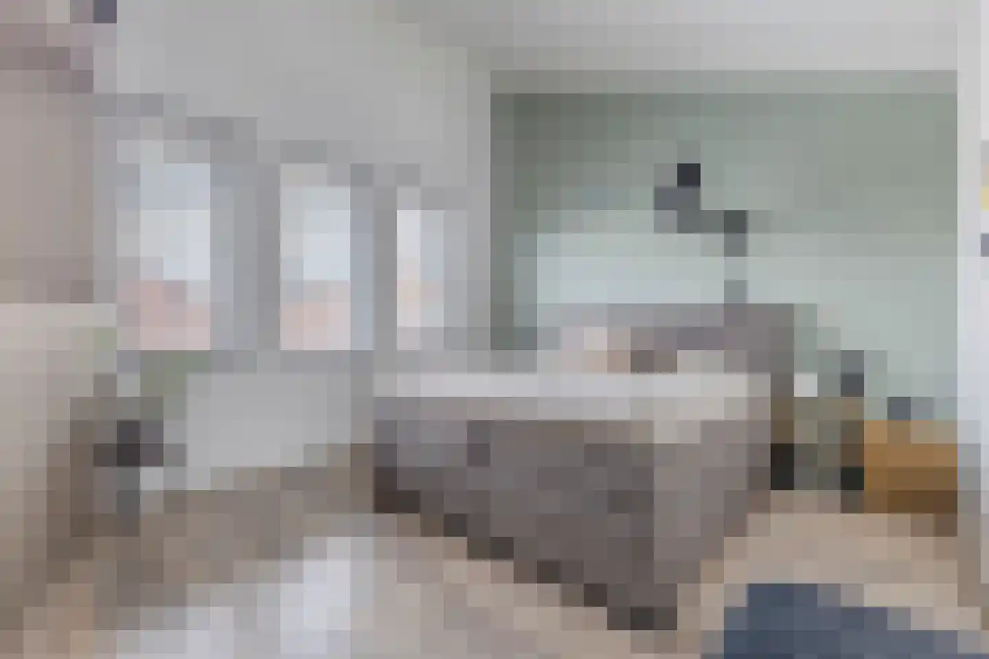 Zonzijde 6 Assendelft thumbnail 29