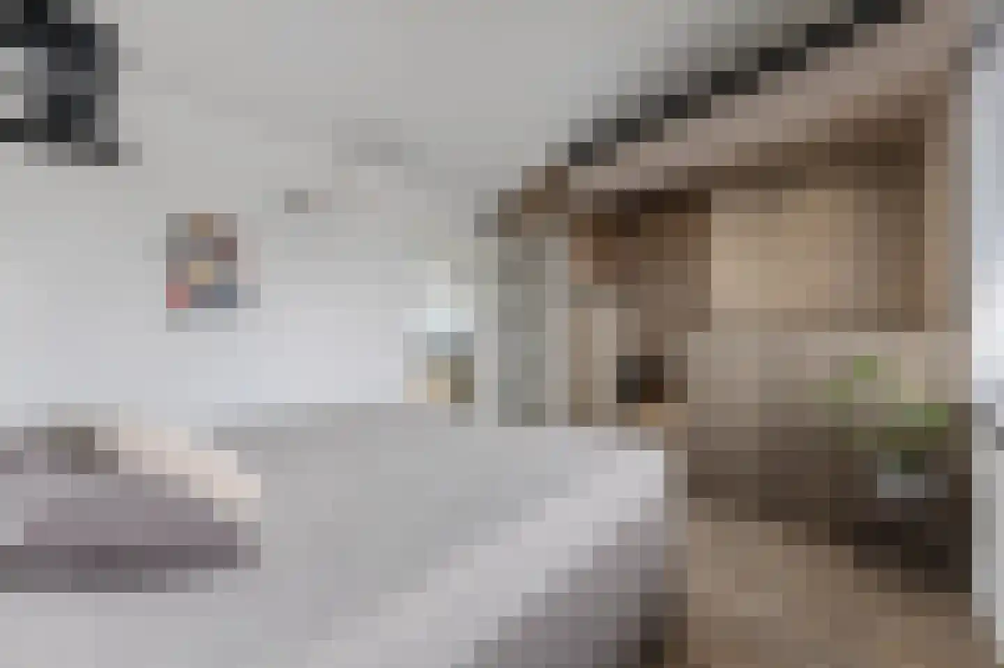 Zonzijde 6 Assendelft thumbnail 30