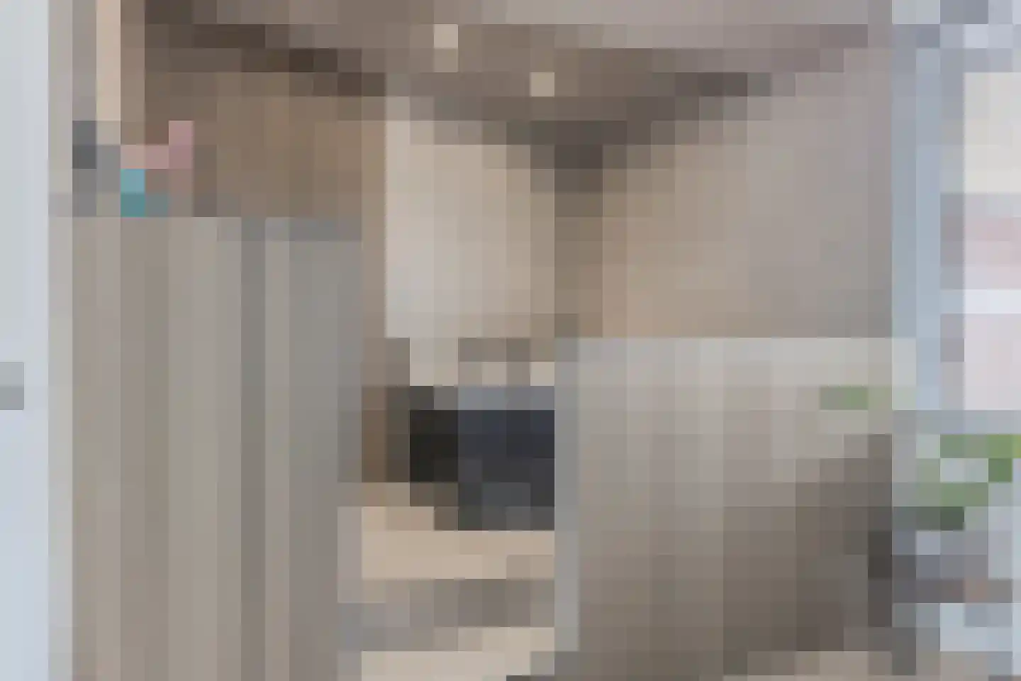 Zonzijde 6 Assendelft thumbnail 31