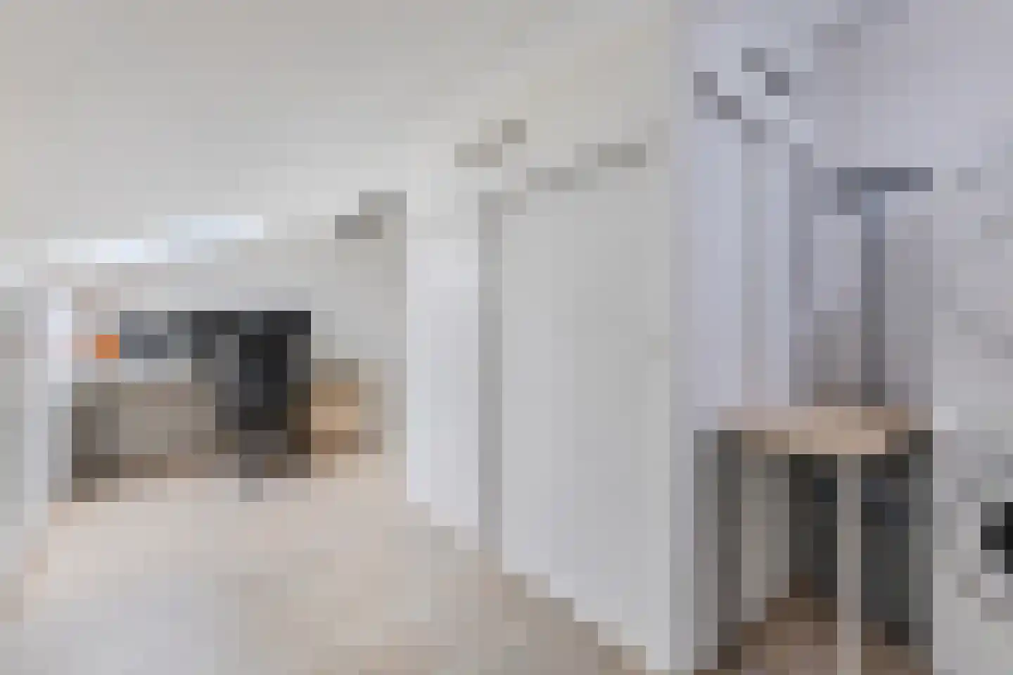 Zonzijde 6 Assendelft thumbnail 34