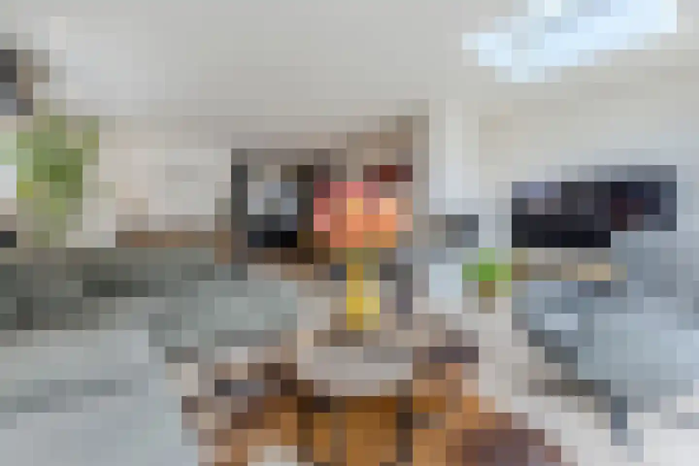 Zonzijde 6 Assendelft thumbnail 5