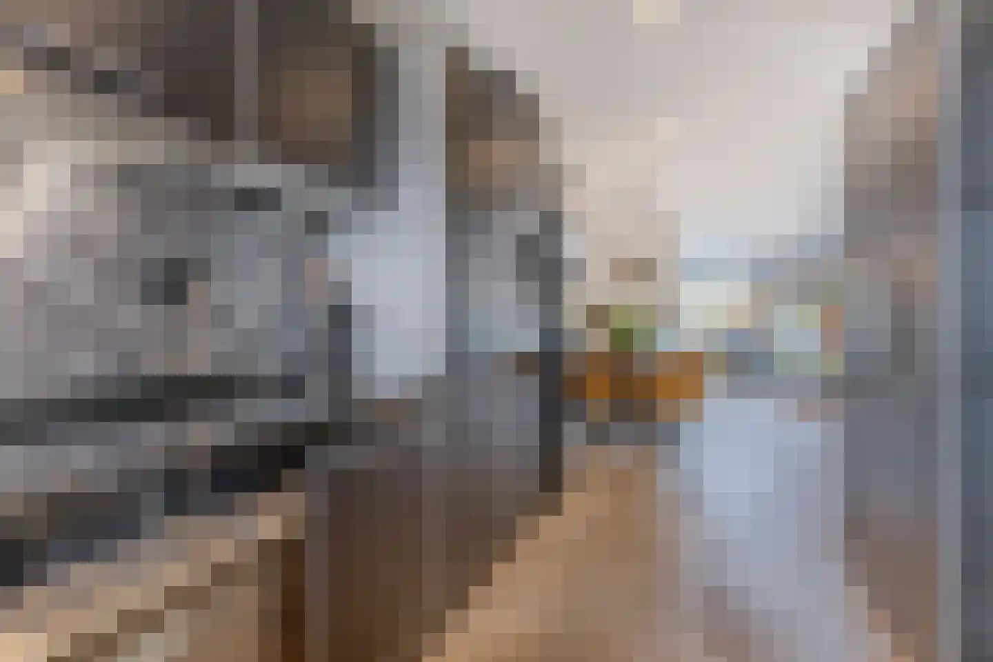Zonzijde 6 Assendelft thumbnail 8