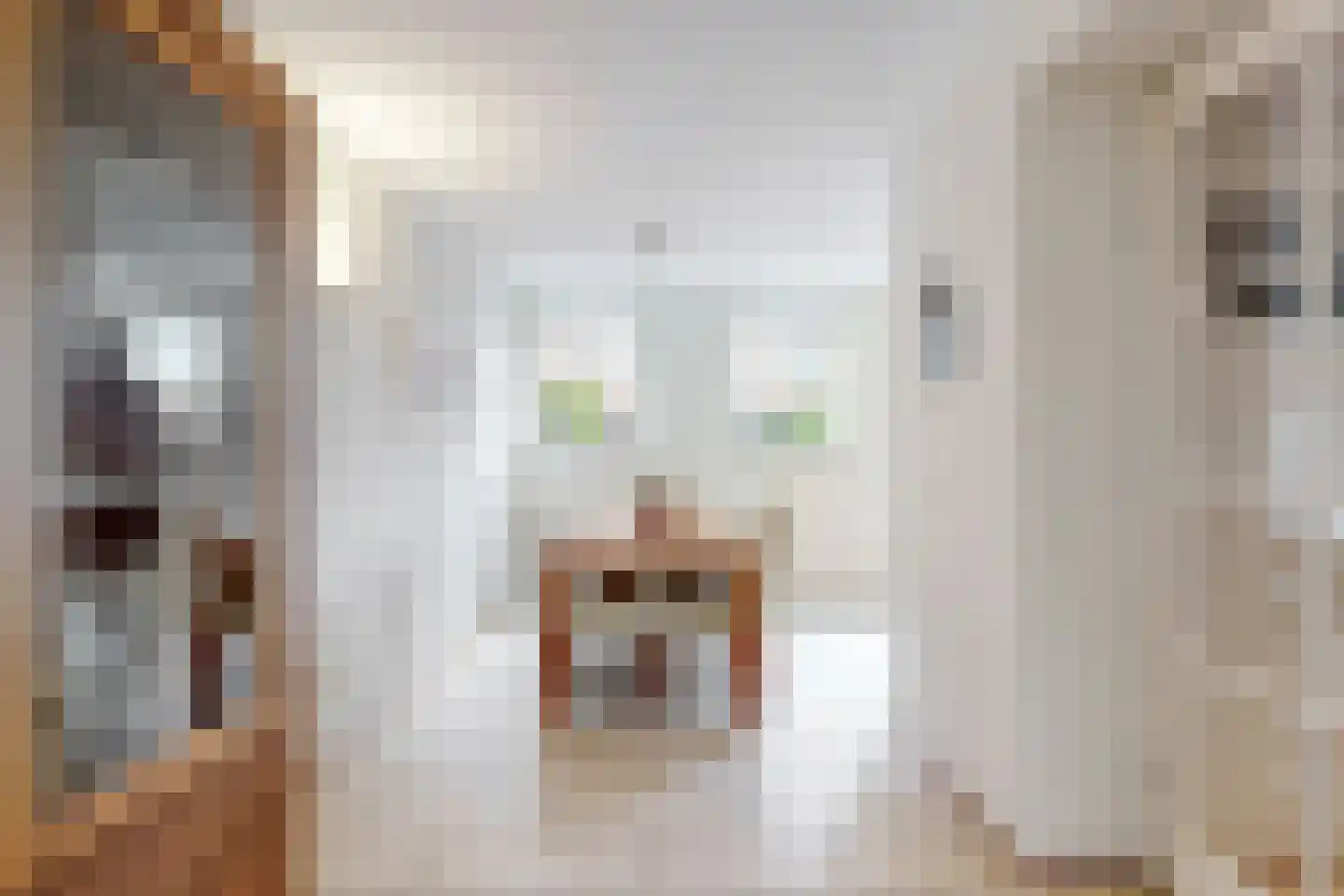 Zonzijde 9 Assendelft thumbnail 10