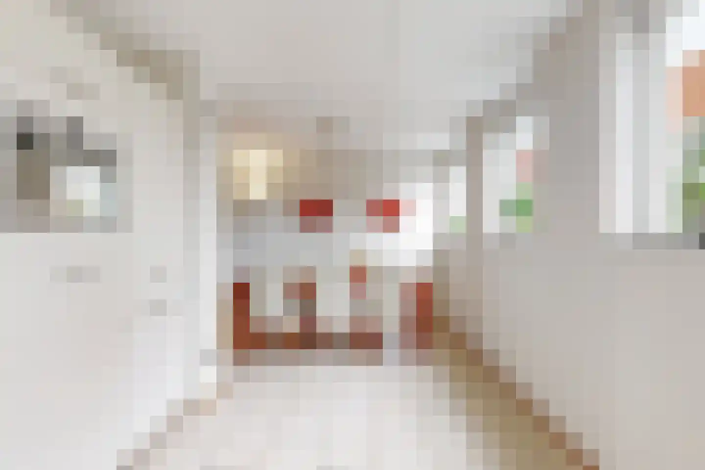 Zonzijde 9 Assendelft thumbnail 13