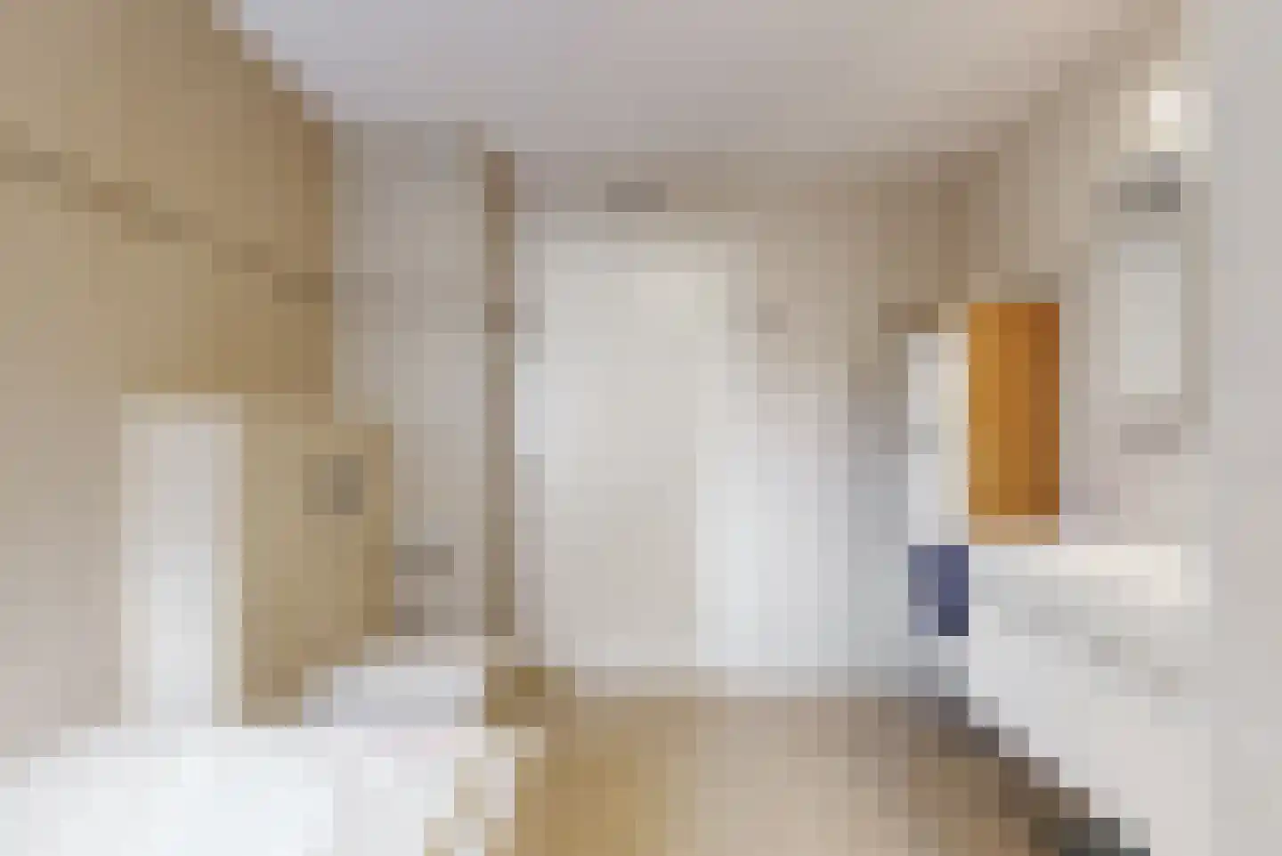 Zonzijde 9 Assendelft thumbnail 17