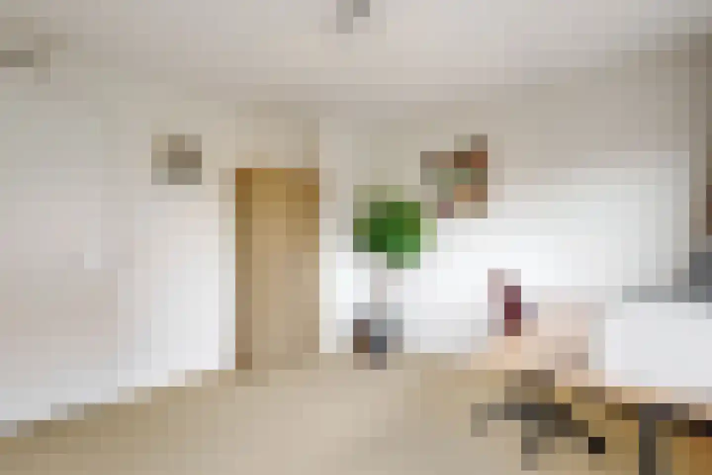Zonzijde 9 Assendelft thumbnail 21