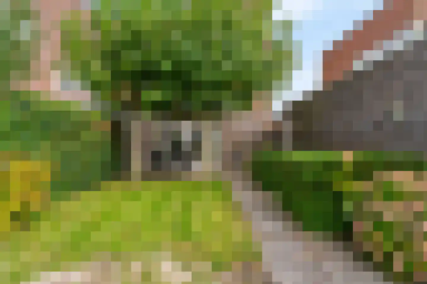 Zonzijde 9 Assendelft thumbnail 29
