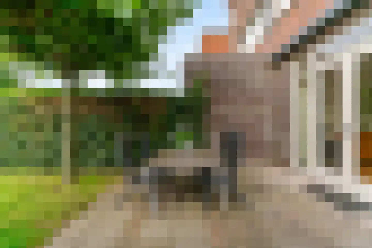 Zonzijde 9 Assendelft thumbnail 30