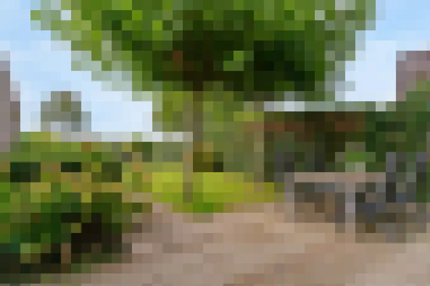 Zonzijde 9 Assendelft thumbnail 32