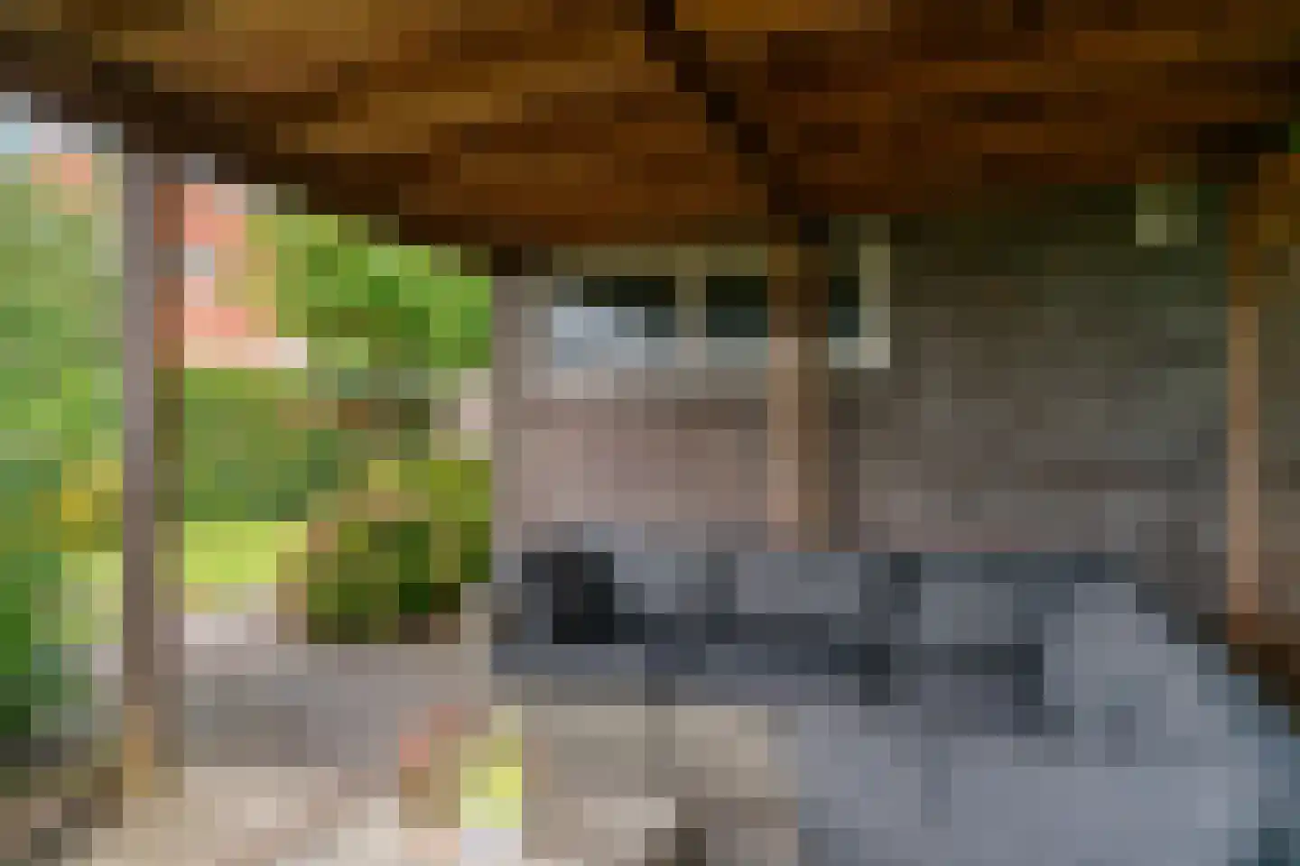 Zonzijde 9 Assendelft thumbnail 36