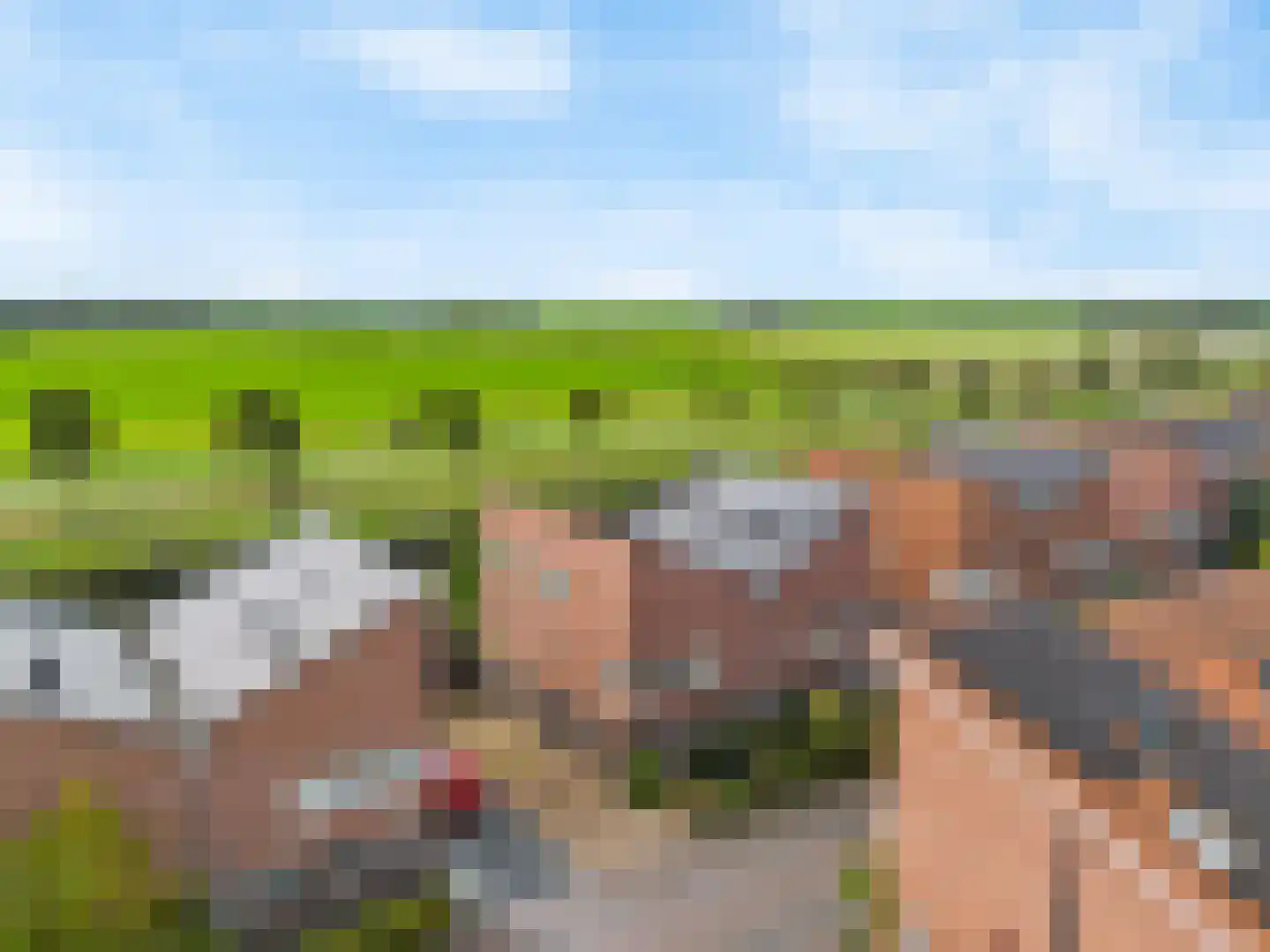 Zonzijde 9 Assendelft thumbnail 44