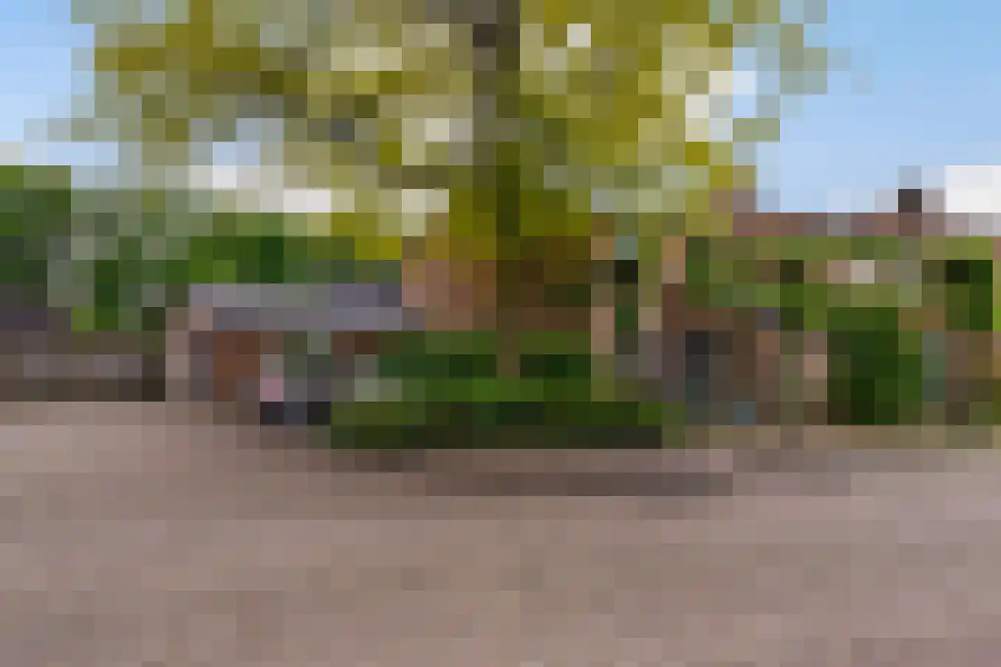 Zoom 11 in Tilburg