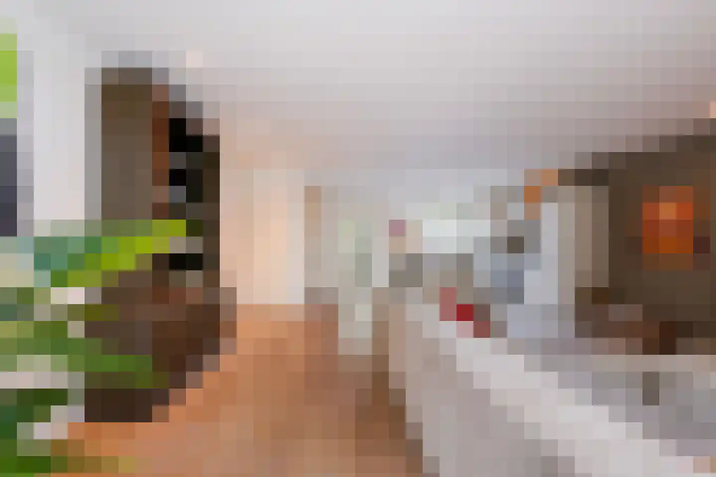 Zoom 11 Tilburg thumbnail 15