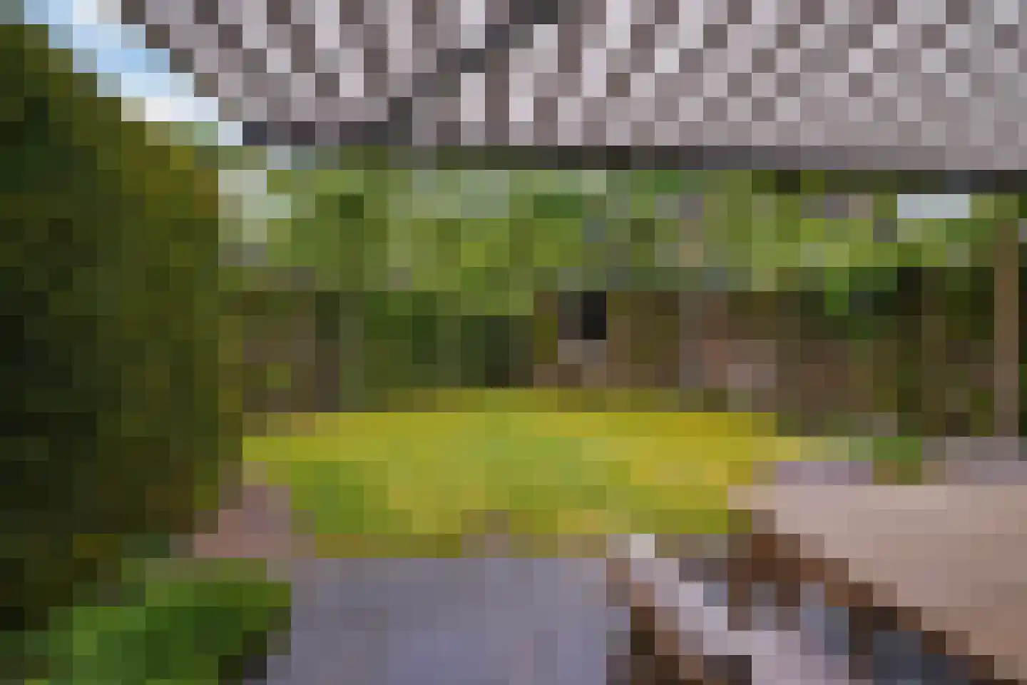 Zoom 11 Tilburg thumbnail 37