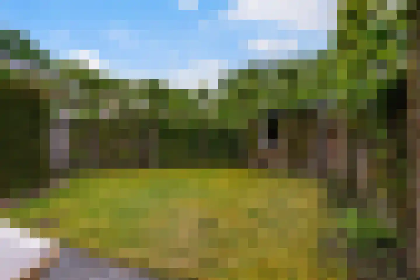 Zoom 11 Tilburg thumbnail 38