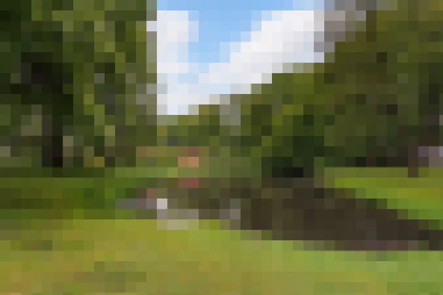 Zoom 11 Tilburg thumbnail 44
