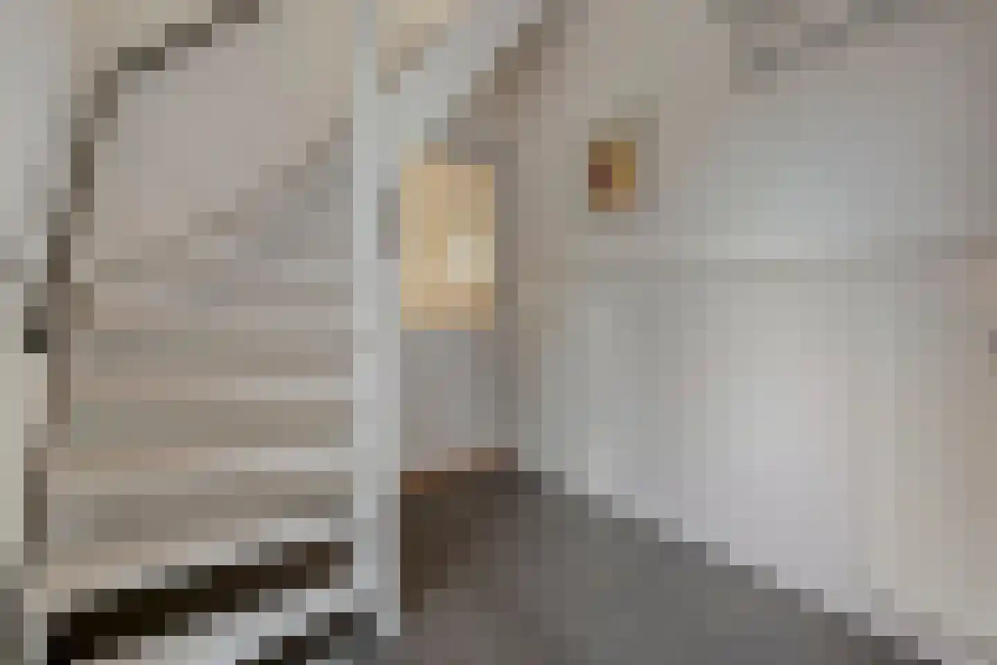 Zoom 12 Zwolle thumbnail 15