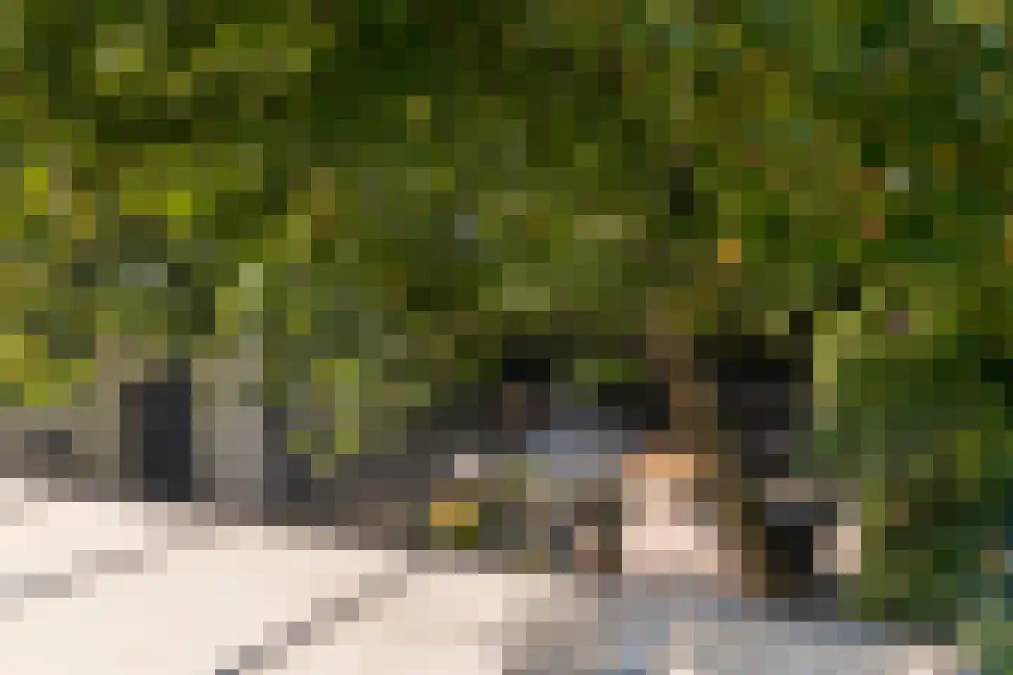 Zoom 12 Zwolle thumbnail 41