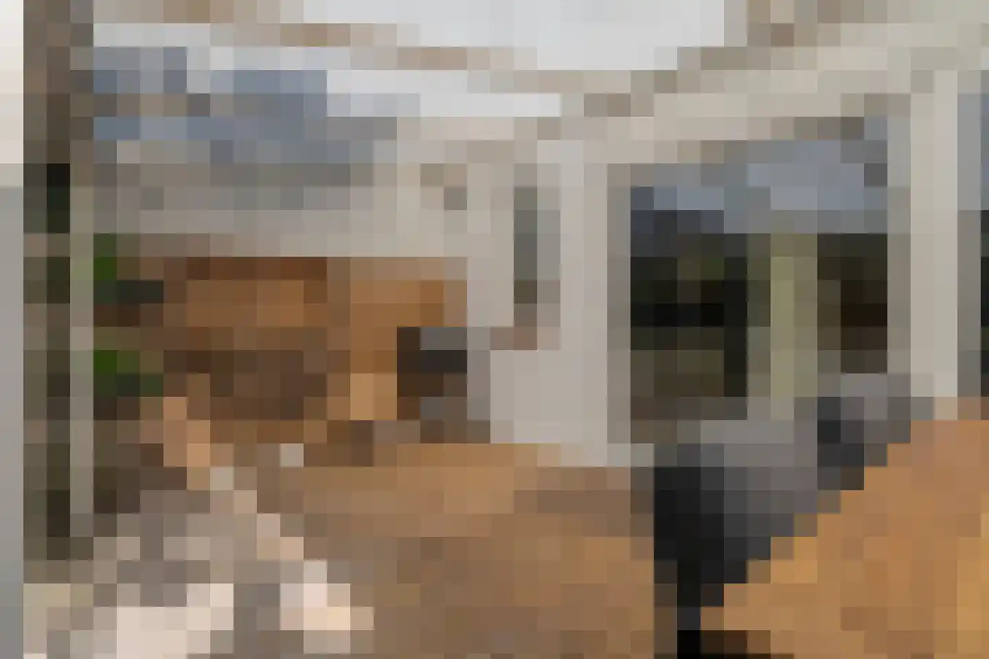 Zoom 12 Zwolle thumbnail 51