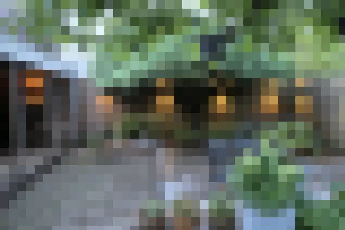 Zoom 12 Zwolle thumbnail 54