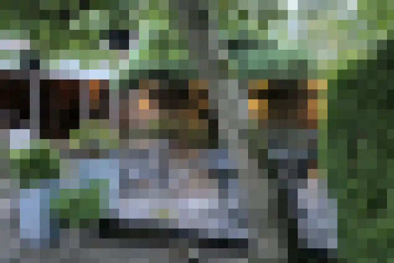 Zoom 12 Zwolle thumbnail 56