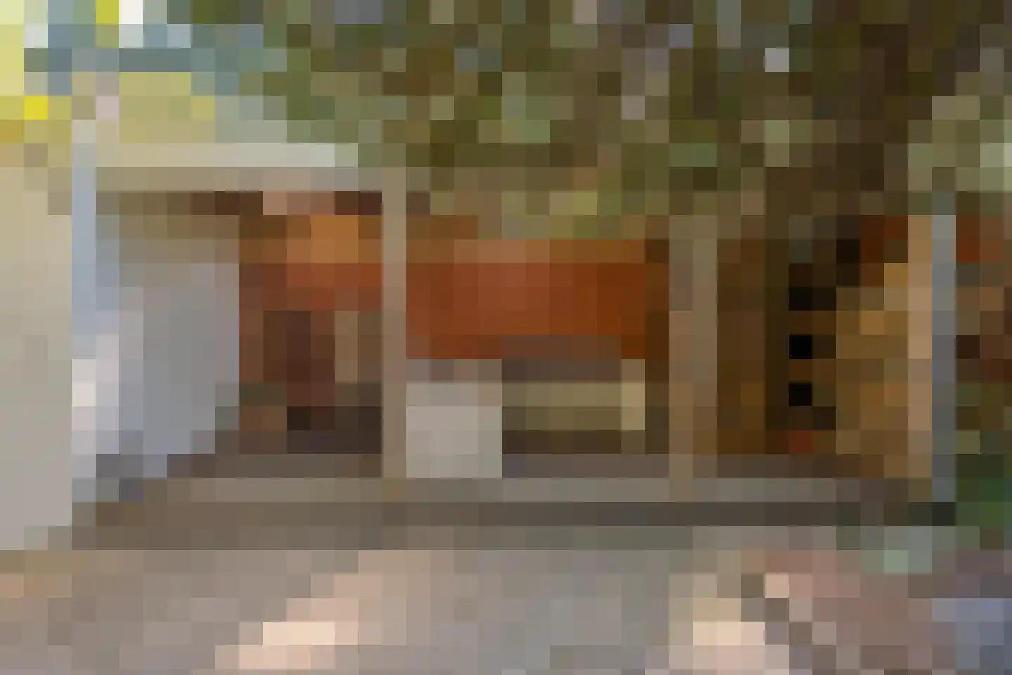 Zoom 12 Zwolle thumbnail 58
