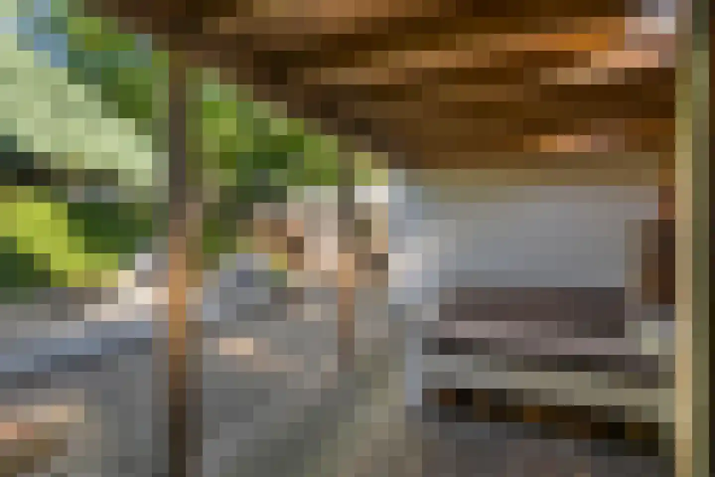 Zoom 12 Zwolle thumbnail 61