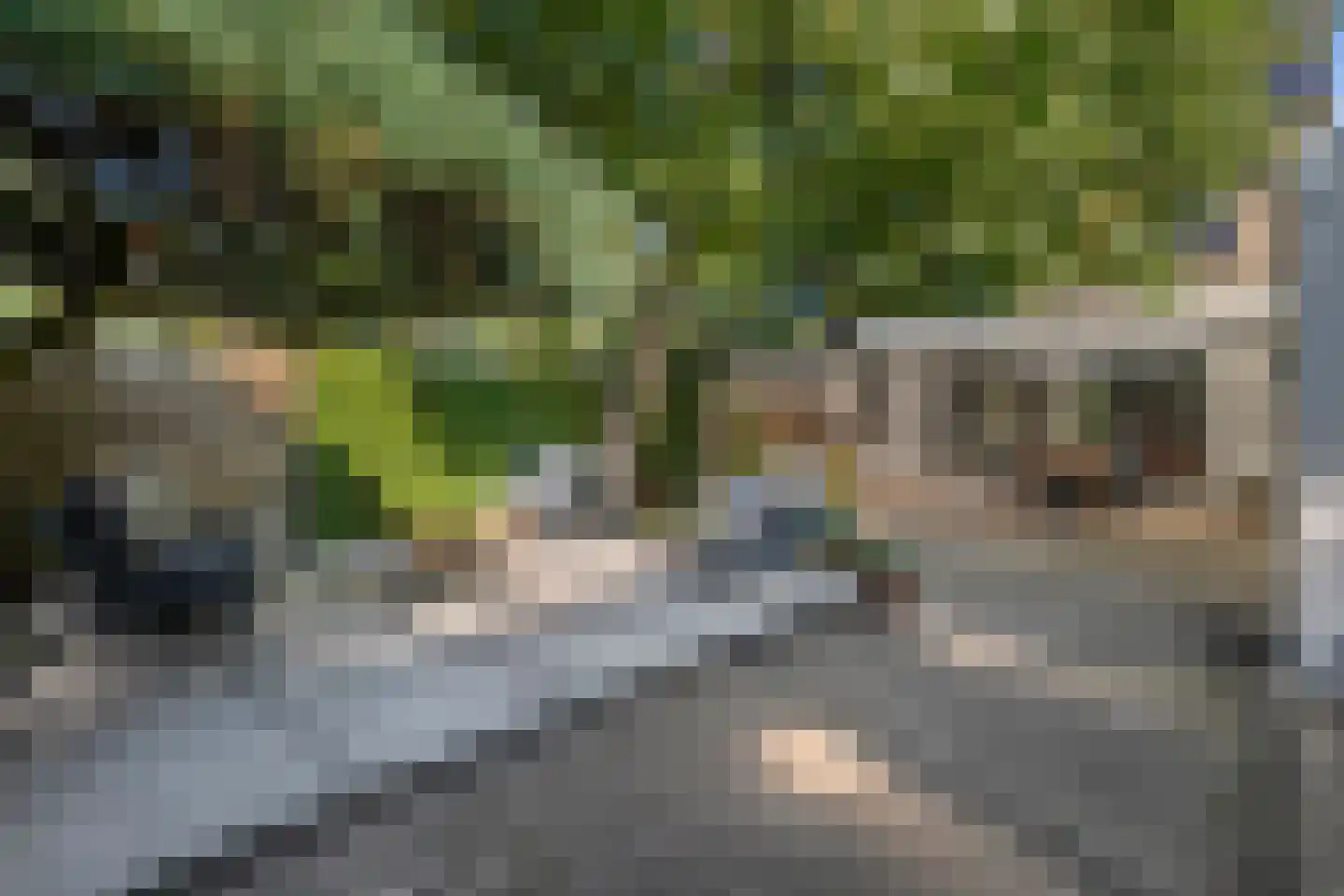 Zoom 12 Zwolle thumbnail 62