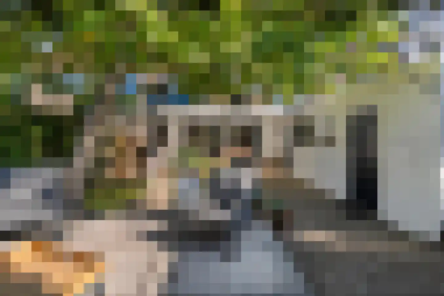 Zoom 12 Zwolle thumbnail 64
