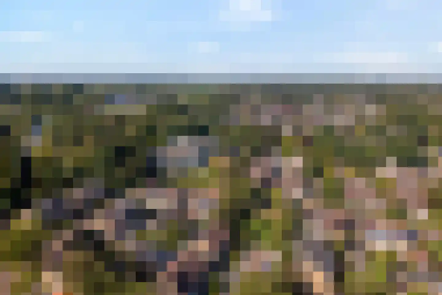 Zoom 12 Zwolle thumbnail 65