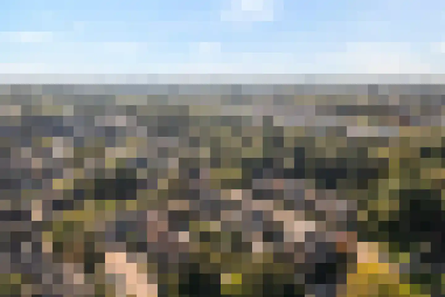 Zoom 12 Zwolle thumbnail 66
