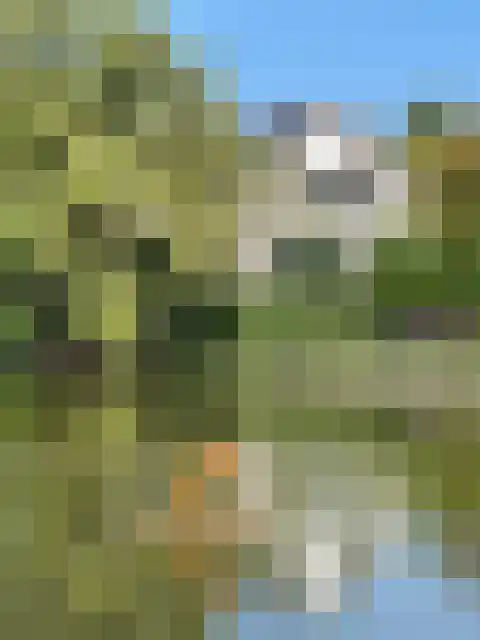Zoom 14 2 Lelystad thumbnail 36
