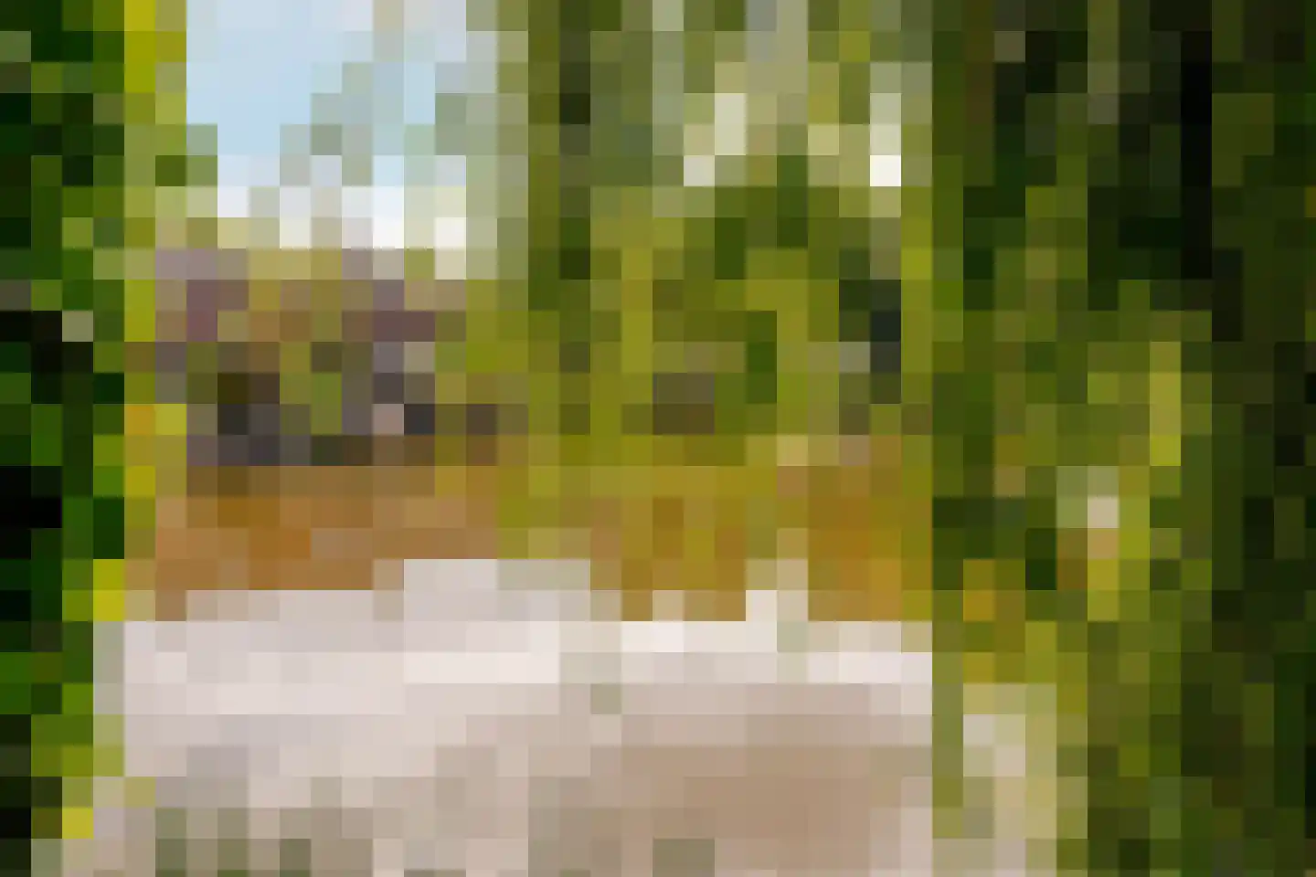 Zoom 14 2 Lelystad thumbnail 47