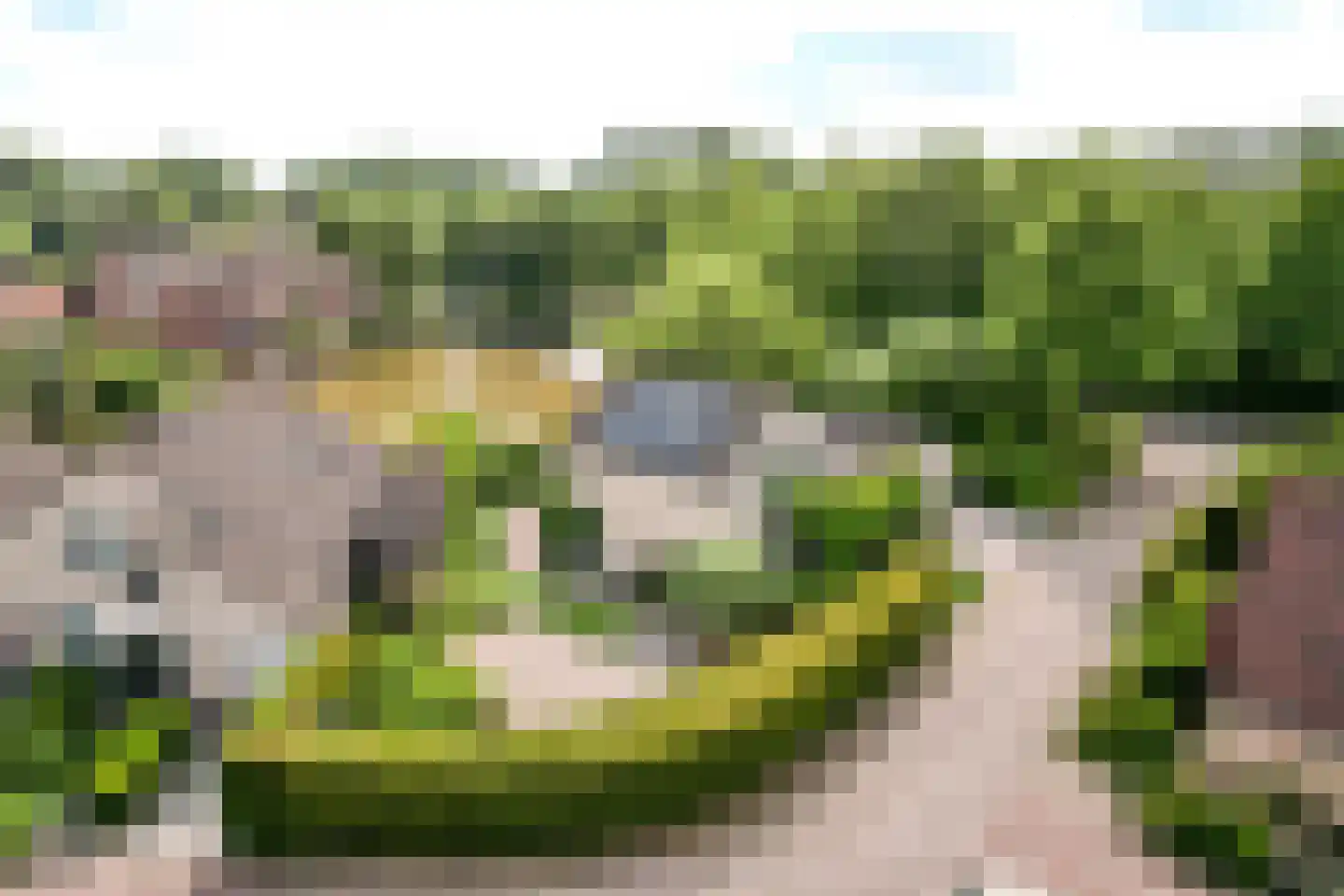 Zoom 14 2 Lelystad thumbnail 56