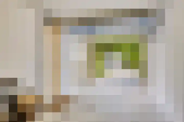 Zoom 15 15 26 Lelystad thumbnail 11