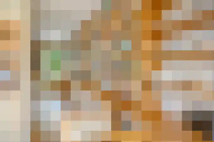Zoom 15 15 26 Lelystad thumbnail 18