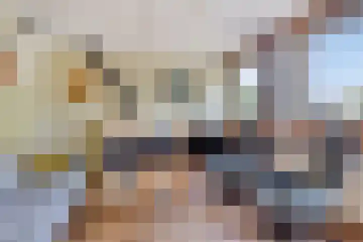 Zoom 15 15 26 Lelystad thumbnail 19
