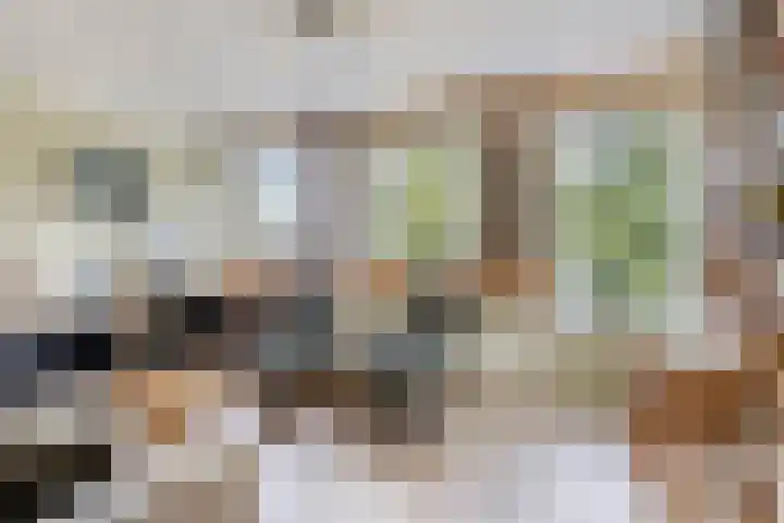 Zoom 15 15 26 Lelystad thumbnail 20