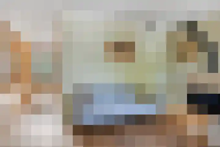 Zoom 15 15 26 Lelystad thumbnail 21