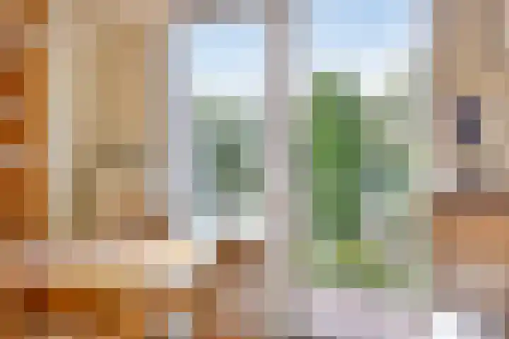 Zoom 15 15 26 Lelystad thumbnail 26