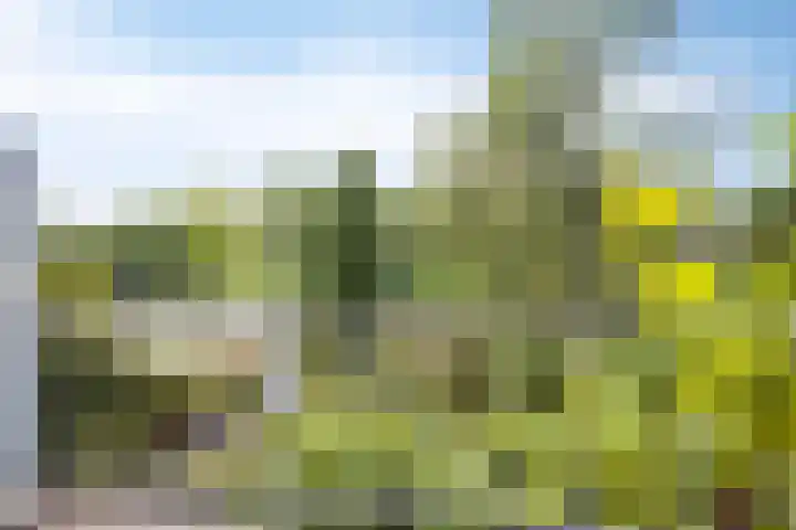 Zoom 15 15 26 Lelystad thumbnail 27