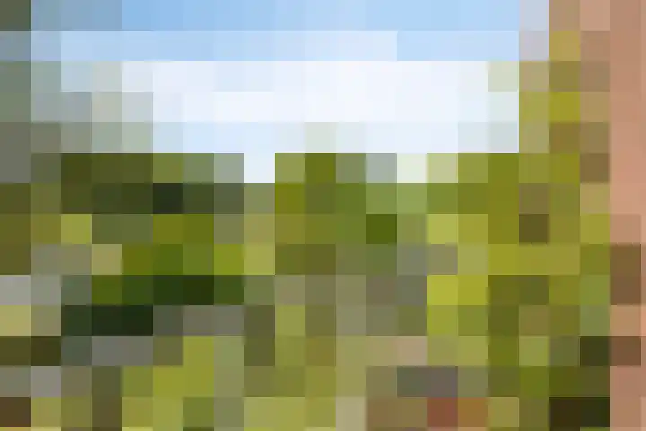 Zoom 15 15 26 Lelystad thumbnail 28