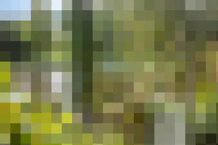 Zoom 15 15 26 Lelystad thumbnail 29