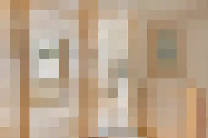 Zoom 15 15 26 Lelystad thumbnail 30