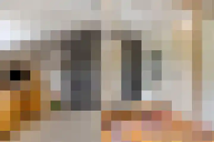 Zoom 15 15 26 Lelystad thumbnail 35