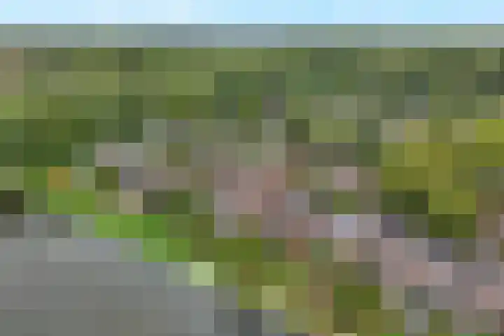 Zoom 15 15 26 Lelystad thumbnail 38