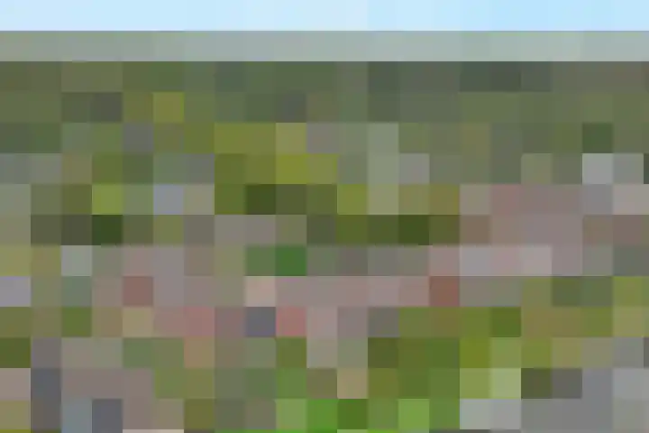 Zoom 15 15 26 Lelystad thumbnail 39