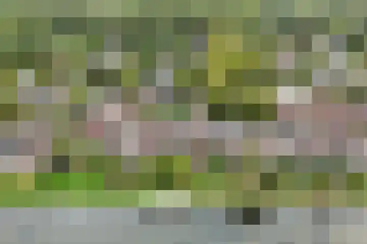 Zoom 15 15 26 Lelystad thumbnail 40