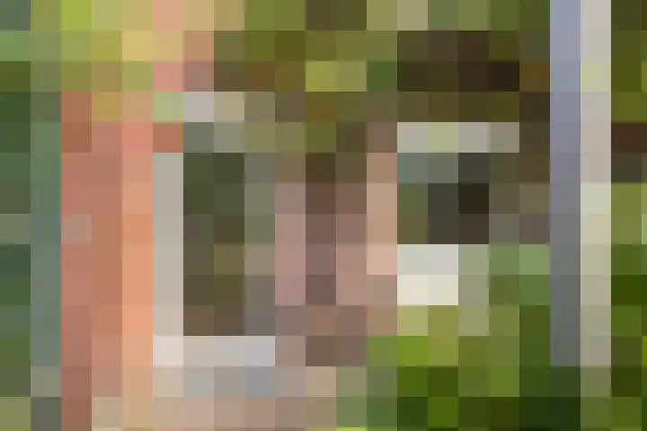 Zoom 15 15 26 Lelystad thumbnail 41